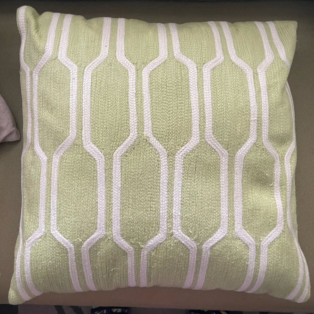 West Elm Honeycomb Crewel Pillow Cover and Insert